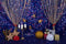 Katebackdrop£ºKate blue red star backdrop for cake smash Backdrop designed by Studio Gumot