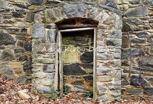 Katebackdrop£ºKate Medievil Rock Doorway Backdrop designed by Arica Kirby