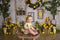 Kate Été Citron Énergique Intérieur Toile de fond pour la photographie - Kate Backdrop FR