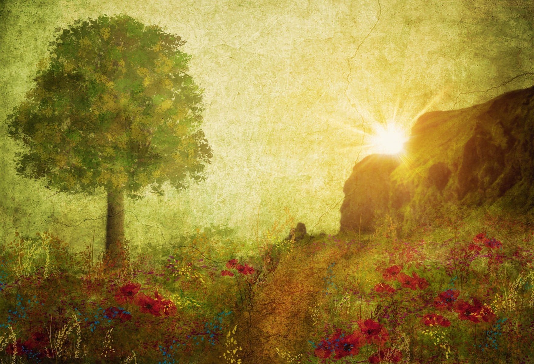 Kate Vintage Lever de soleil Peinture été Toile de fond conçue par marina smith - Kate Backdrop FR