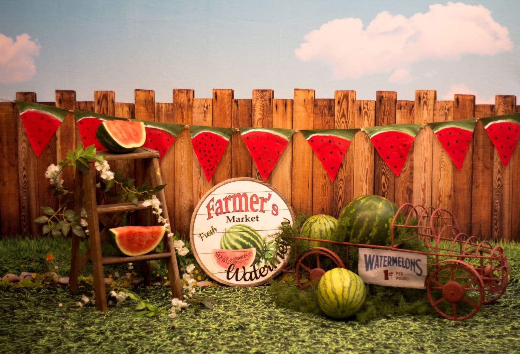 Katebackdrop£ºKate Sunset Fence With Watermelons Children Backdrop for Photography Designed by Stephanie Gabbard