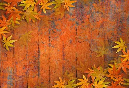 Katebackdrop£ºKate Autumn Maple Leaf Wooden Backdrops for Photography