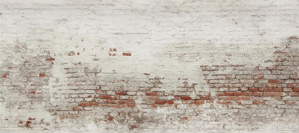 Kate Mur de briques Blanc Vieux Toile de fond conçue par Pine Park Collection