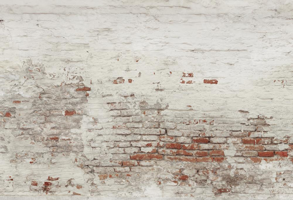 Kate Mur de briques Blanc Vieux Toile de fond conçue par Pine Park Collection