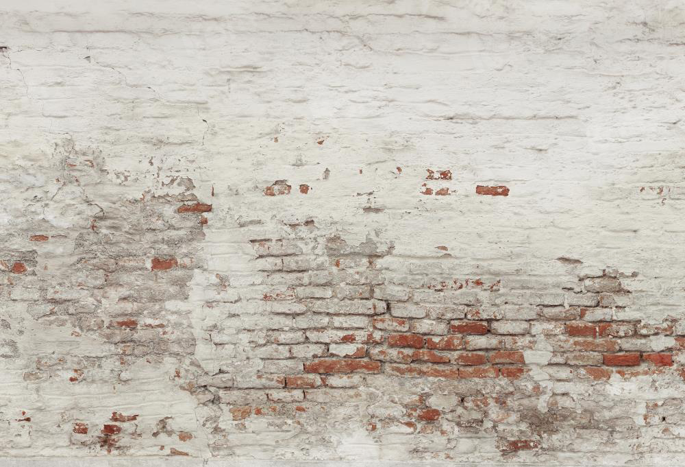 Kate Mur de briques Blanc Vieux Toile de fond conçue par Pine Park Collection - Kate Backdrop FR