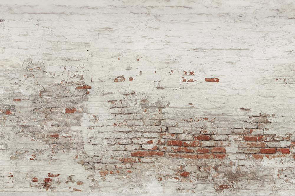 Kate Mur de briques Blanc Vieux Toile de fond conçue par Pine Park Collection - Kate Backdrop FR