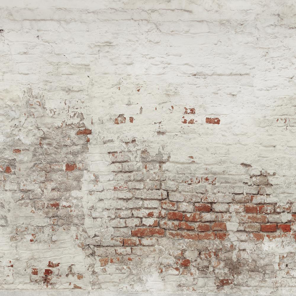 Kate Mur de briques Blanc Vieux Toile de fond conçue par Pine Park Collection - Kate Backdrop FR