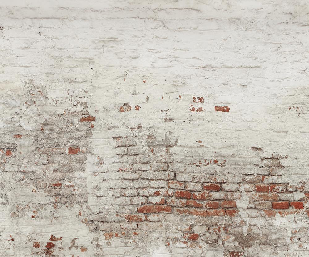 Kate Mur de briques Blanc Vieux Toile de fond conçue par Pine Park Collection - Kate Backdrop FR