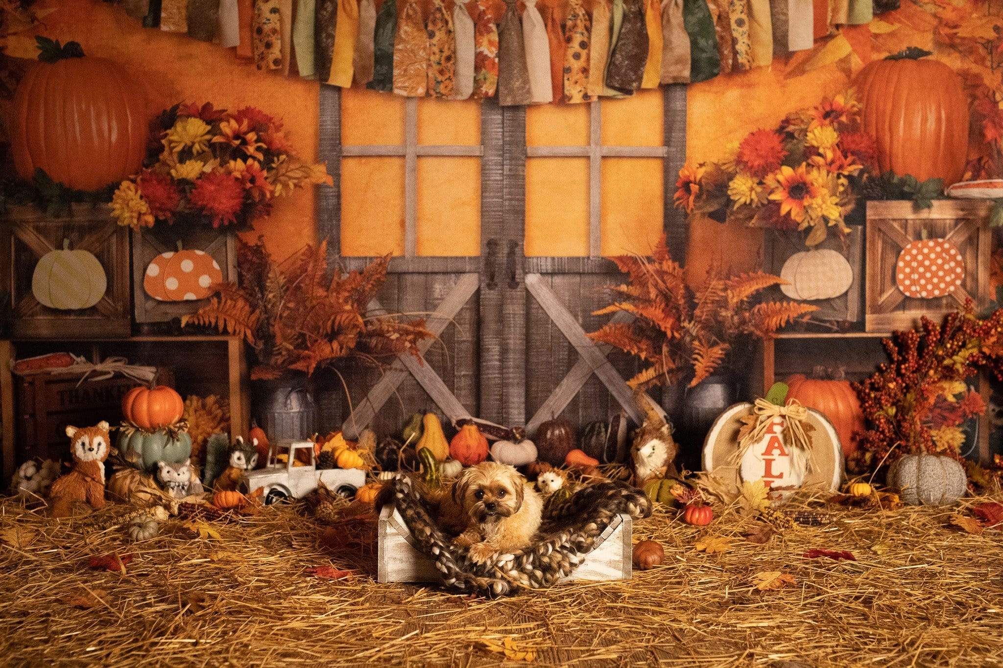 Katebackdrop£ºKate Autumn Harvest Thanksgiving Backdrop for Photography