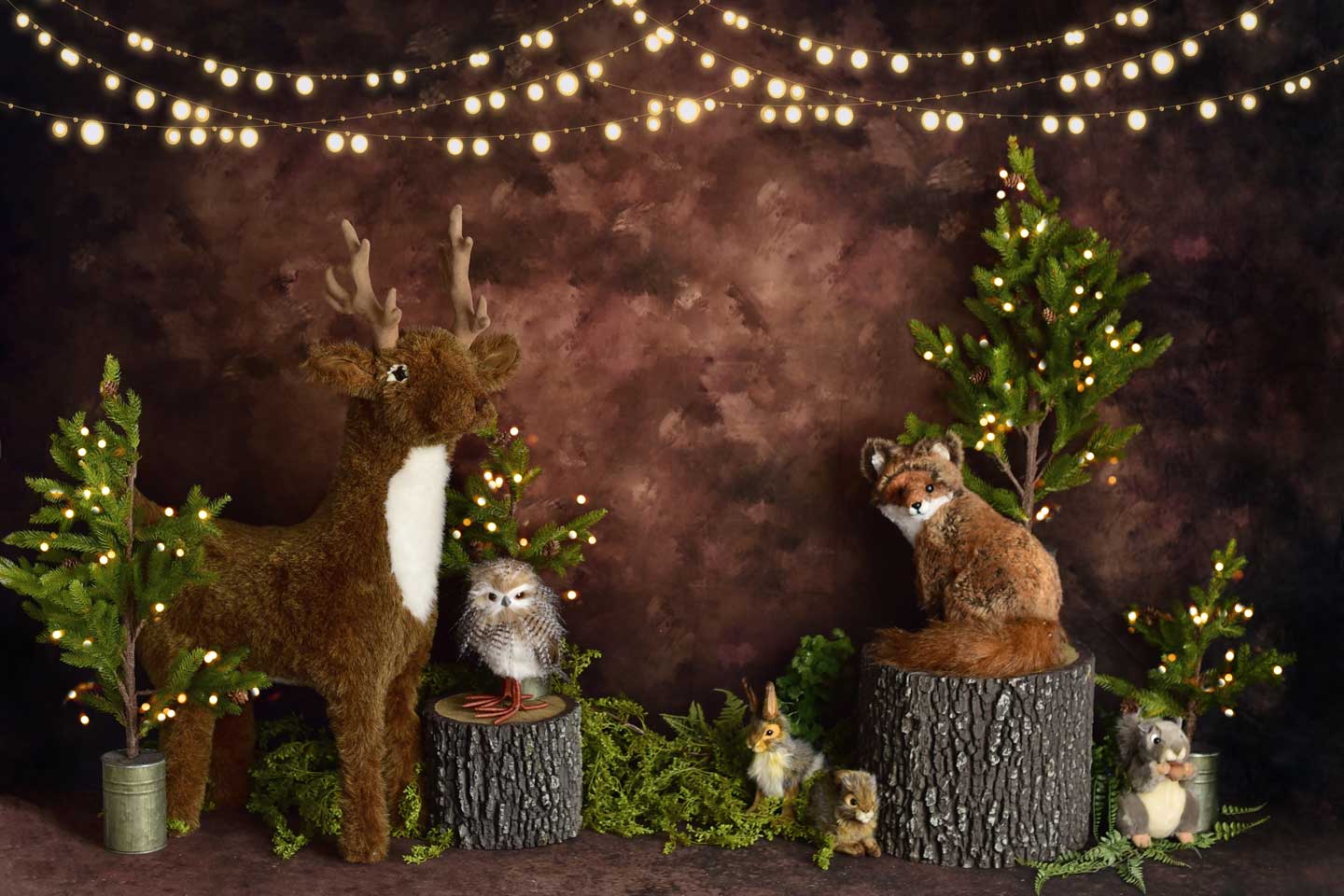 Kate Animaux Créatures Forêt Bois Brun Toile de fond conçu par Mandy Ringe Photographie