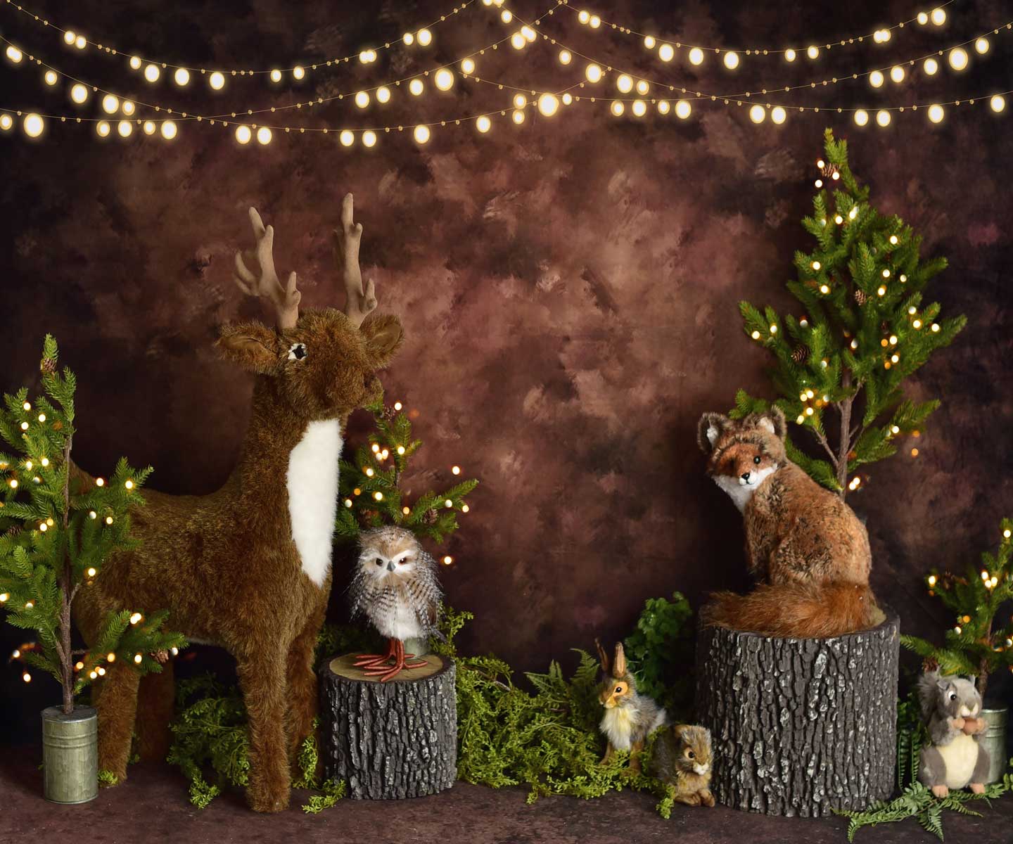 Kate Animaux Créatures Forêt Bois Brun Toile de fond conçu par Mandy Ringe Photographie