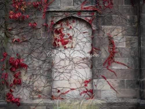 Katebackdrop£ºKate Vinewall with Red Flowers Building Autumn Backdrop Designed by Cassie Christiansen Photography