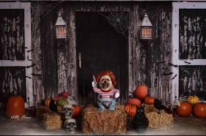Kate Grange Effrayant Halloween Toile de fond conçue par Mandy Ringe