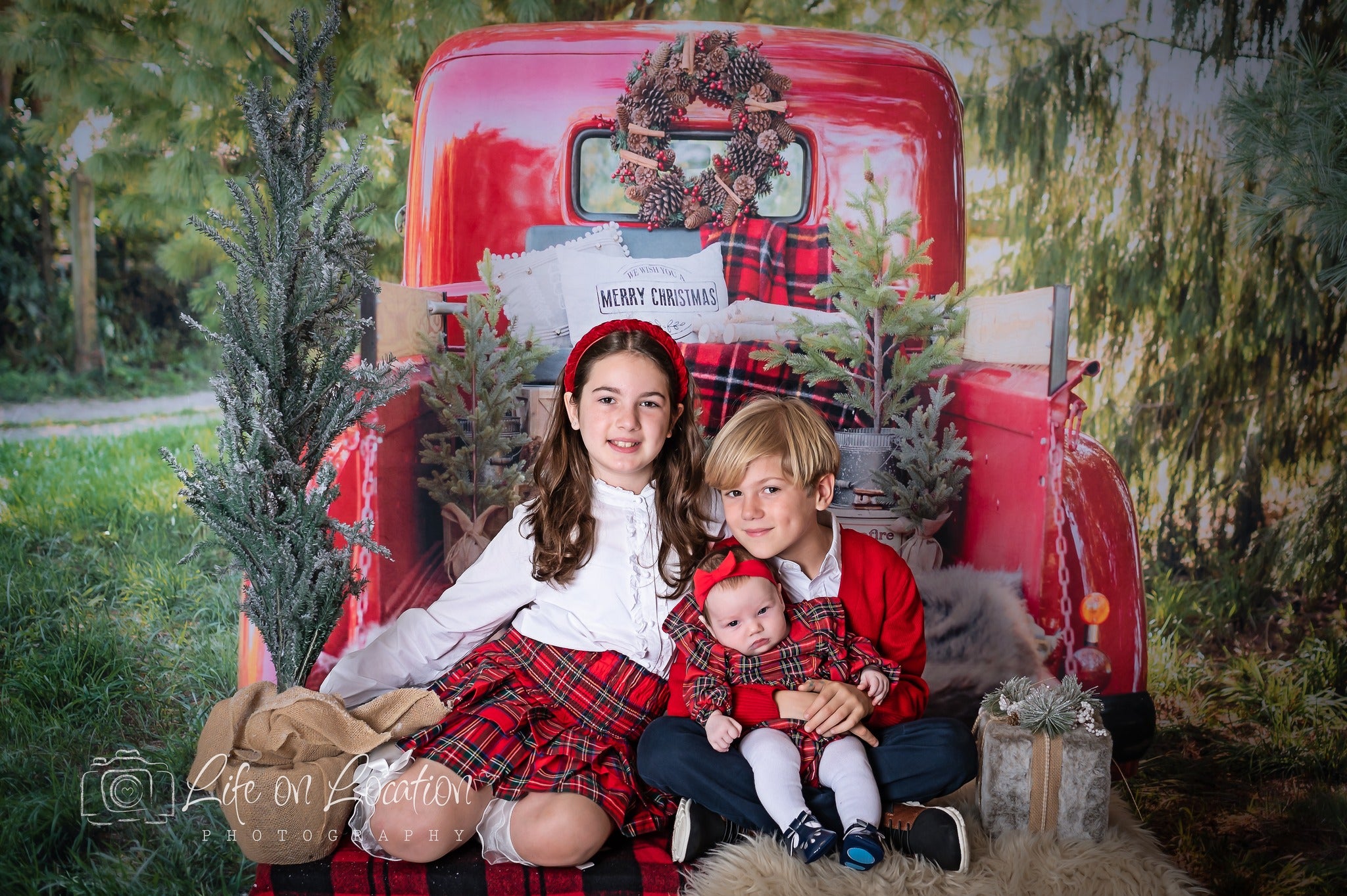 Kate Camion Noël Rouge Plante Toile de fond conçue par Mandy Ringe Photographie
