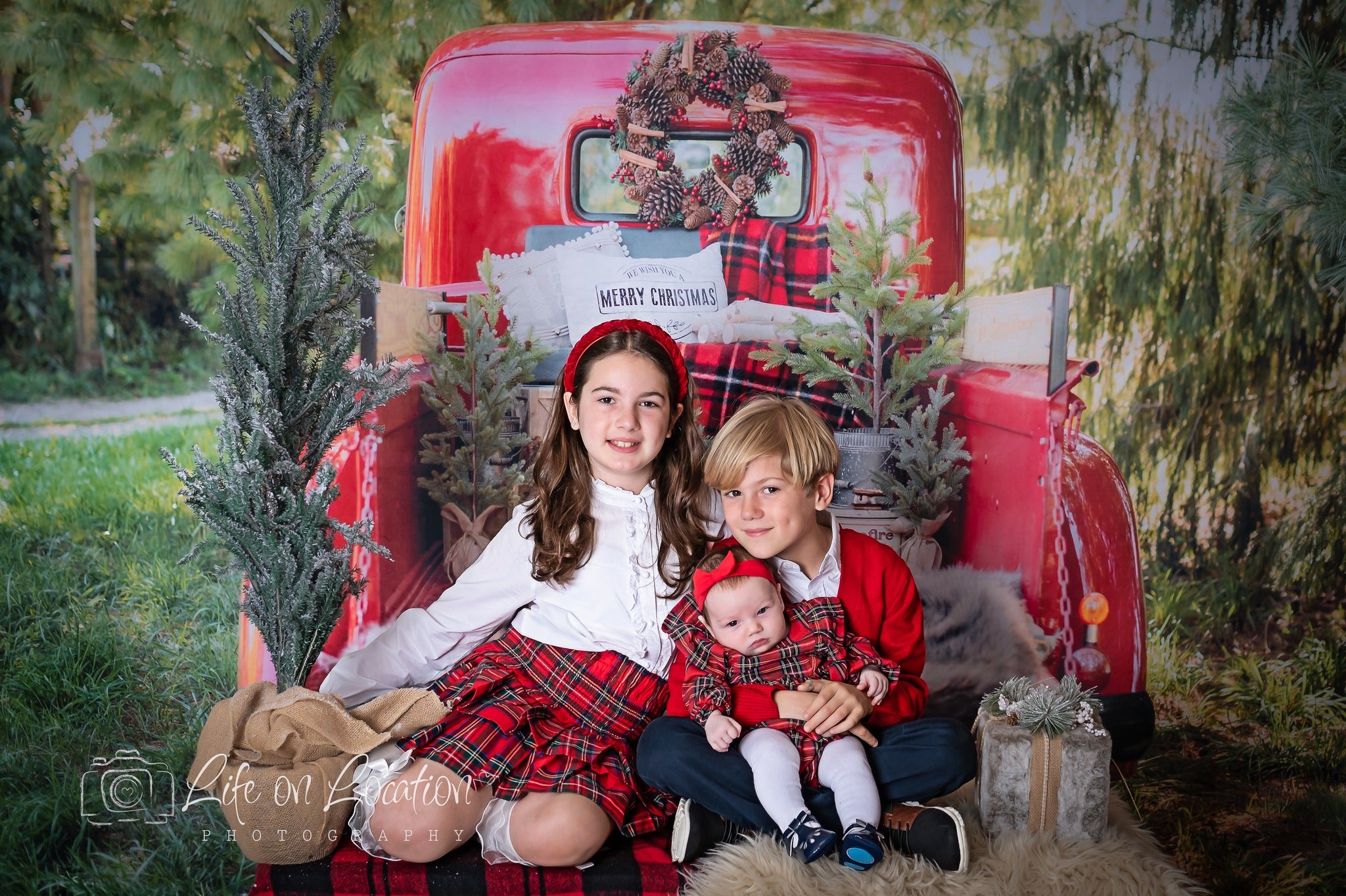 Kate Camion Noël Rouge Plante Toile de fond conçue par Mandy Ringe - Kate Backdrop FR