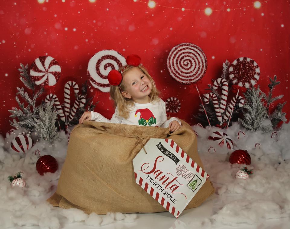 Kate Pays des merveilles Menthe poivrée Noël Toile de fond conçue par Mandy Ringe