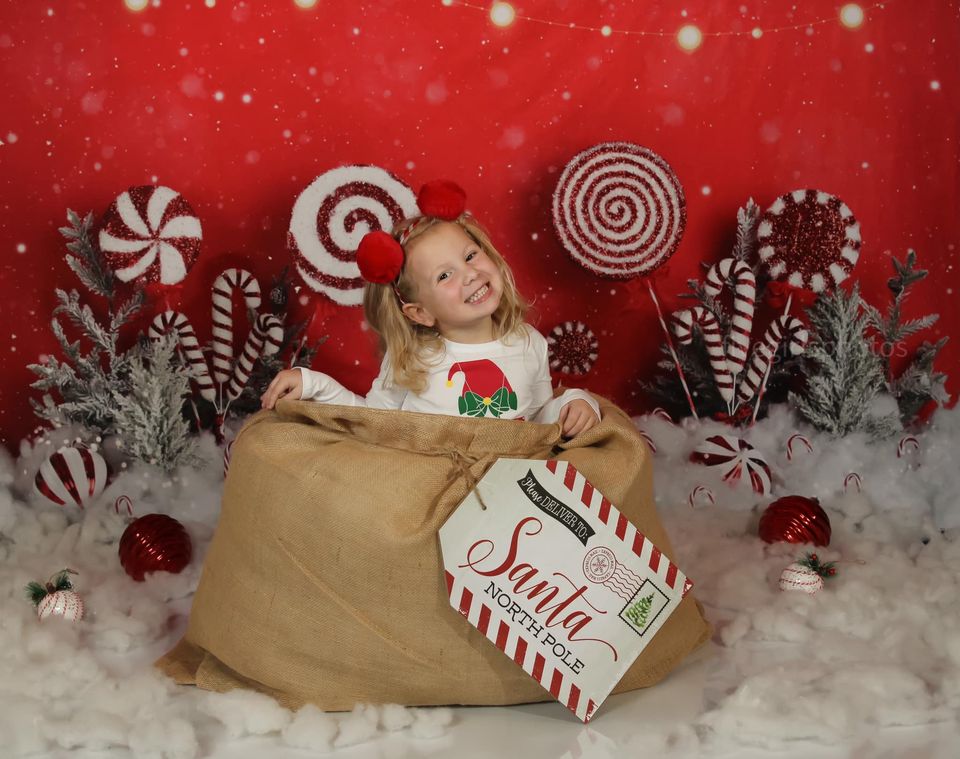 Kate Pays des merveilles Menthe poivrée Noël Toile de fond conçue par Mandy Ringe - Kate Backdrop FR