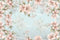 Kate Fleur de cerisier Rose Printemps Bleu Toile de fond  pour la photographie - Kate Backdrop FR