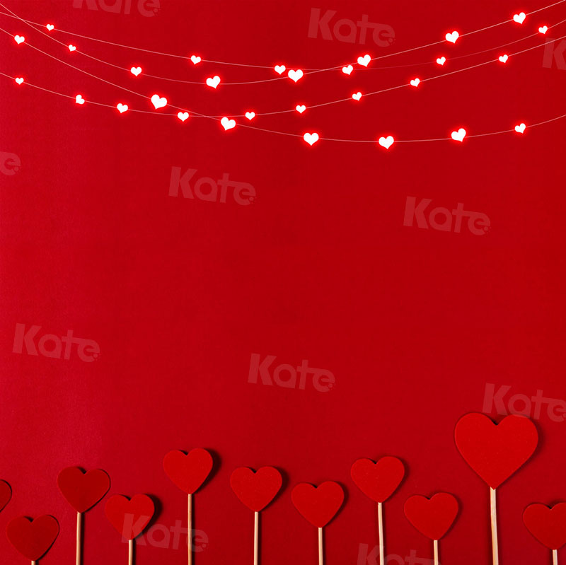 Kate La Saint-Valentin Rouge Amour Toile de fond  pour la photographie - Kate Backdrop FR