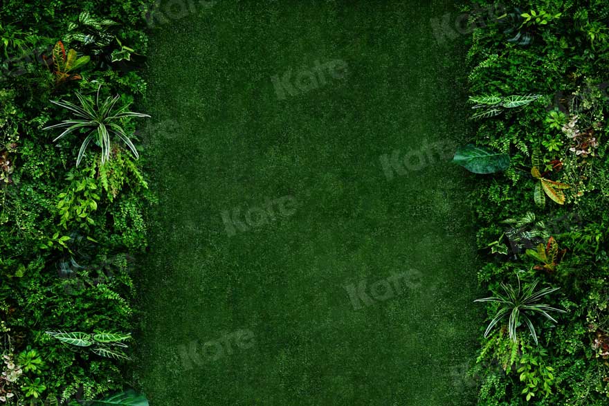 Kate Plantes Vert Printemps Mur Toile de fond pour la photographie