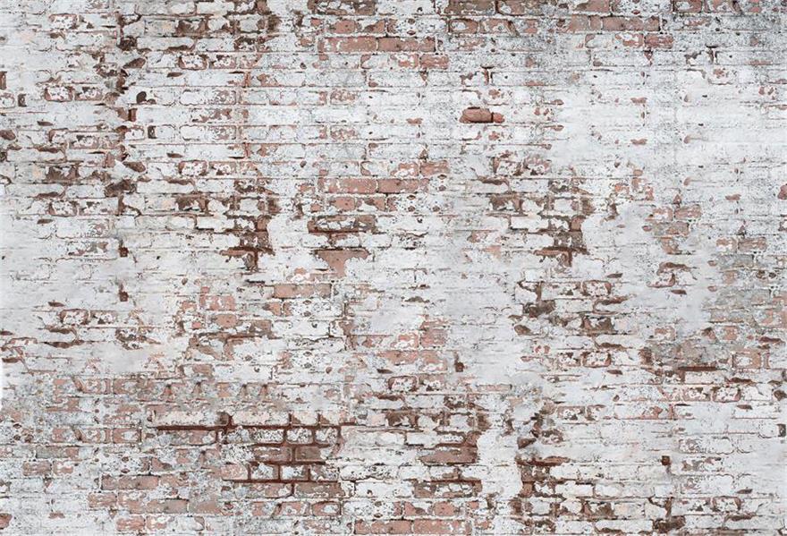 Kate Mur de briques Vintage Rouge Blanc Toile de fond pour studio de photographe - Kate Backdrop FR