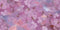 Toile de fond de fleur de style de peinture à l'huile de Kate Fine Art pour la photographie - Kate Backdrop FR