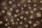 Kate Baseball répétés Enfant Brun Toile de fond pour la photographie - Kate Backdrop FR