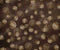 Kate Baseball répétés Enfant Brun Toile de fond pour la photographie - Kate Backdrop FR