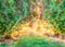 Kate Anniversaire Verger de Pommiers Été Vert Toile de fond conçue par Lisa Granden - Kate Backdrop FR