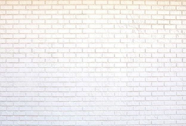 Kate toile de fond de mur rétro en brique blanche pour photographie - Kate Backdrop FR