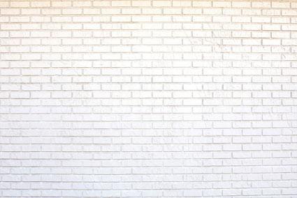 Kate toile de fond de mur rétro en brique blanche pour photographie - Kate Backdrop FR
