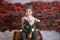 Kate Mur de briques Sombre Saint Valentin Rouge Toile de fond conçu par Jerry_Sina - Kate Backdrop FR