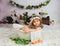 Kate Guirlande Printemps Roses Anniversaire Toile de fond conçue par Keerstan Jessop - Kate Backdrop FR