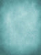 Katebackdrop：Kate Light Green Backdrop Abstract Textured Photography Background
