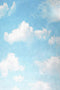 Kate Nuages Ciel Bleu Blanc Été Bébé Toile de fond pour la photographie - Kate Backdrop FR