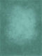Katebackdrop：Kate Cold Green Texture Abstract Background Photos Backdrop