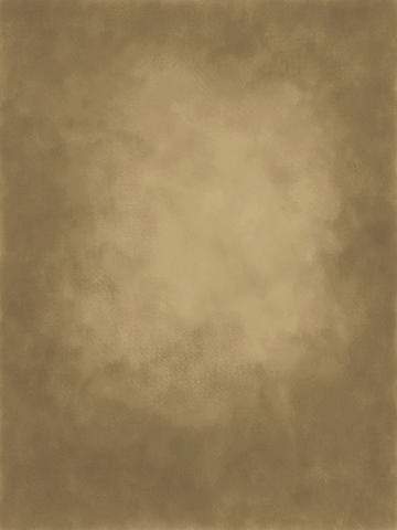 Katebackdrop：Kate Gold little brown Texture Abstract Background Photos Backdrop
