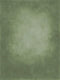 Katebackdrop：Kate Cold Dark Olive Green Texture Abstract Background Photos Backdrop