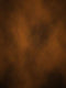Katebackdrop：Kate Abstract Textured Old Master Brown Backdrop Photography Portrait