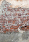 Kate Mur de briques Portrait Rétro Détruit Toile de fond pour la photographie - Kate Backdrop FR