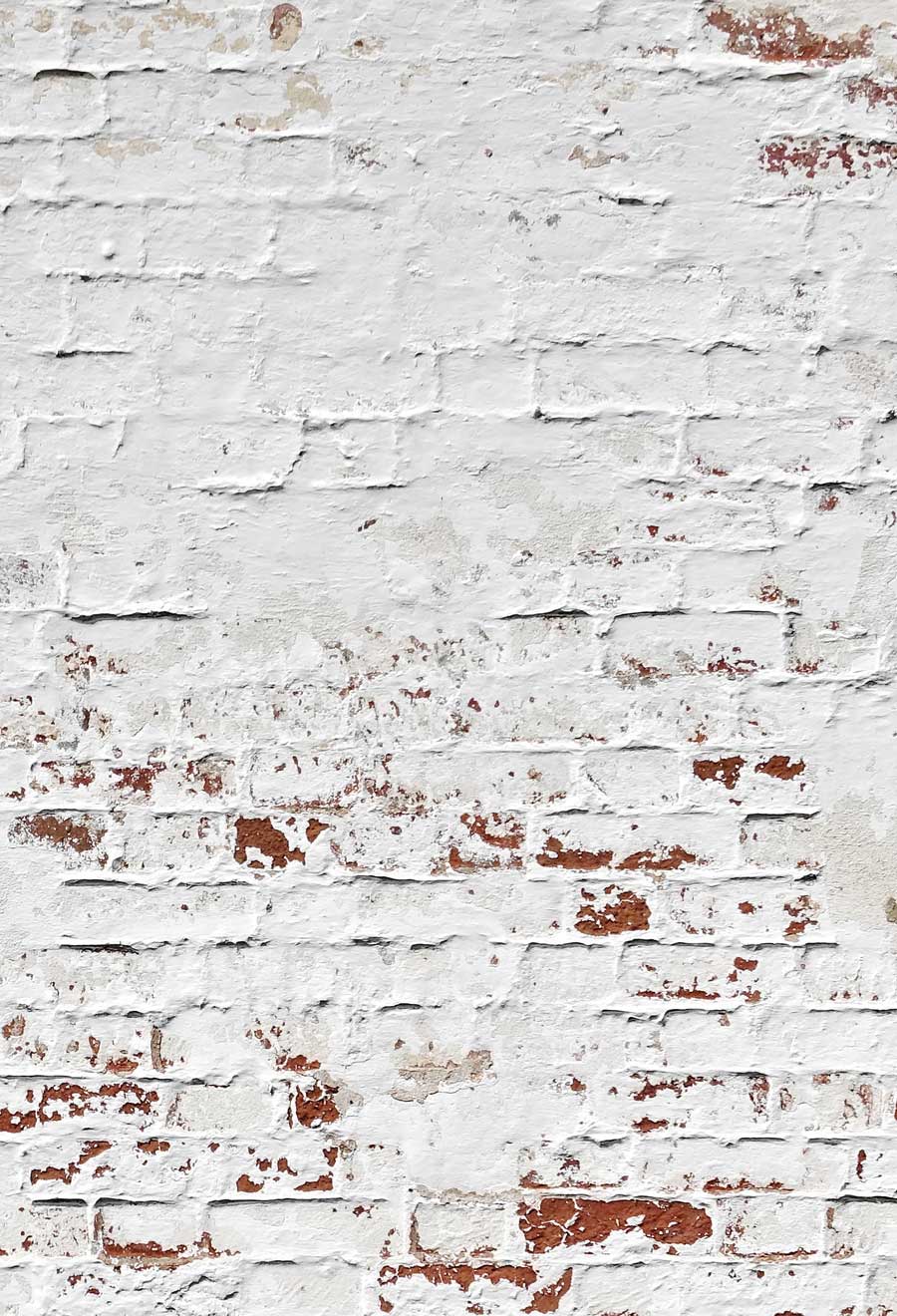 Kate Mur de briques Blanc Rétro Toile de fond pour la photographie