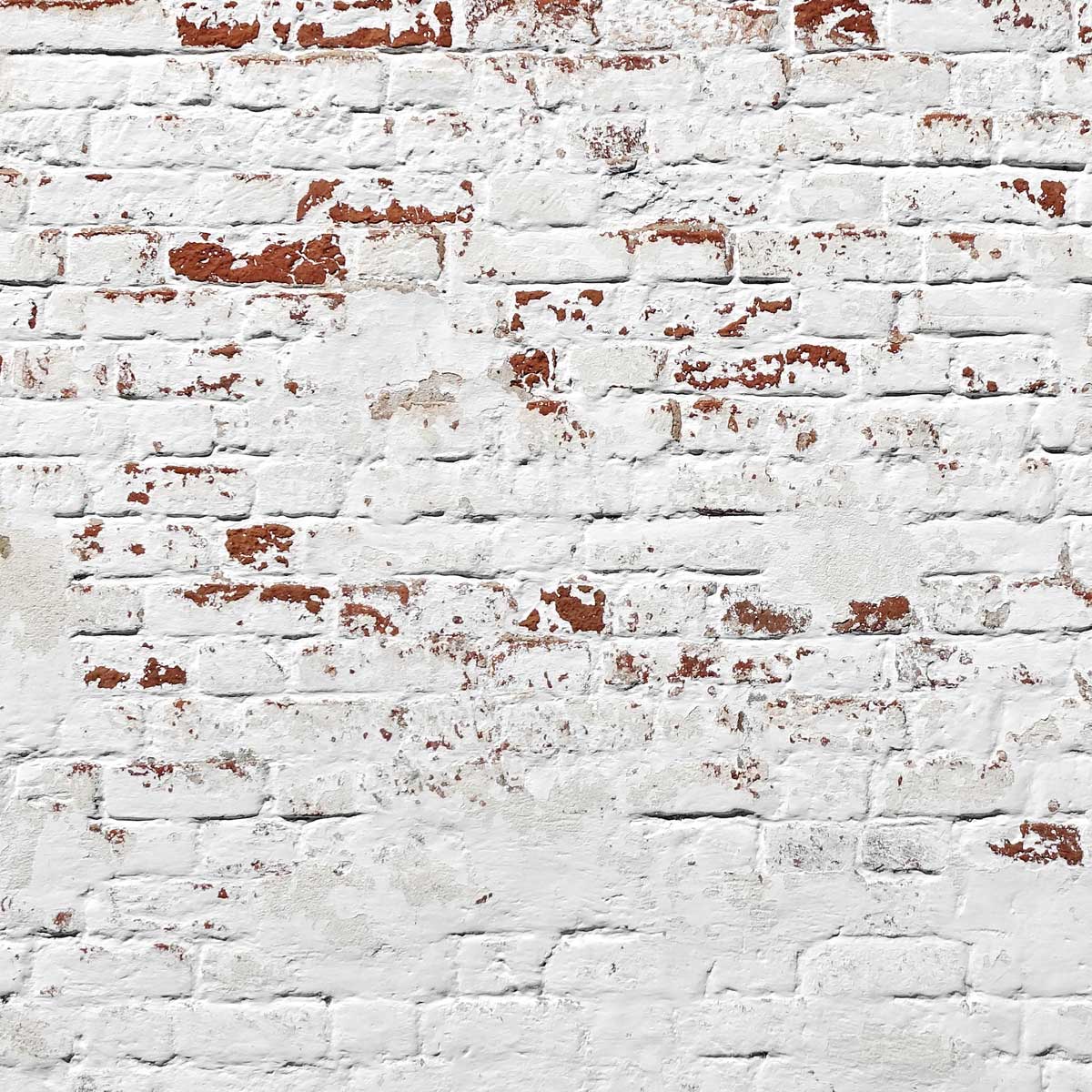 Kate Mur de briques Blanc Rétro Toile de fond pour la photographie