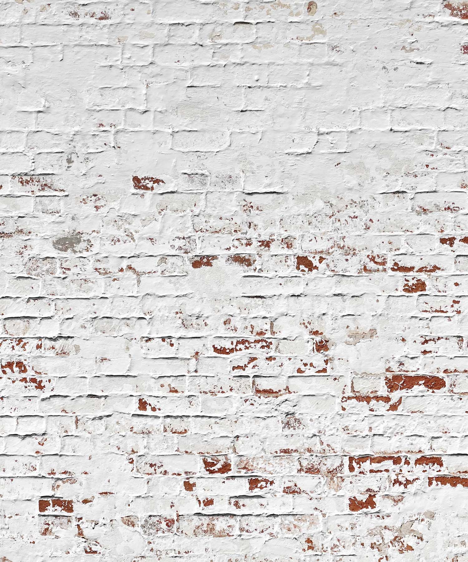 Kate Mur de briques Blanc Rétro Toile de fond pour la photographie - Kate Backdrop FR