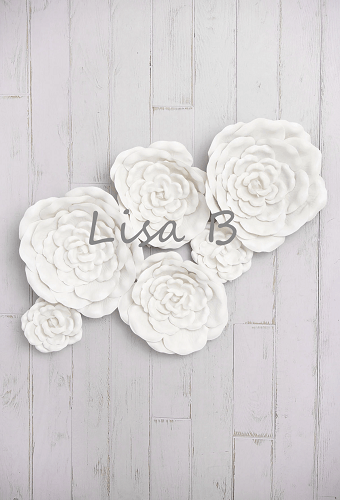 Katebackdrop£ºKate White Flowers Backdrop for Children Designed by Lisa B