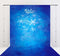 Kate la reine des glaces Fond de balayage Ice Queen Conçu par Modest Brushes - Kate Backdrop FR