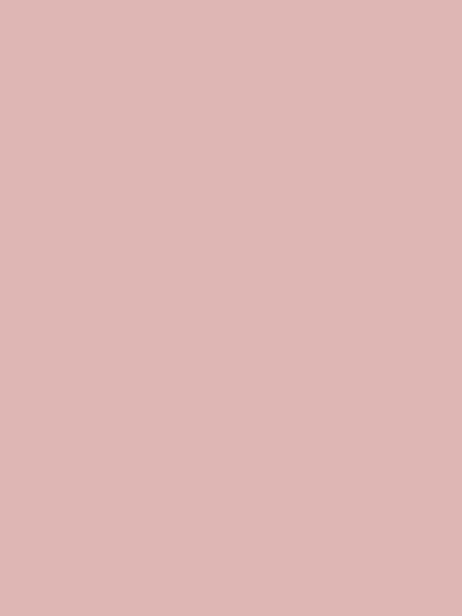 Kate Couleur unie Rose clair Toile de fond Photographie de portrait - Kate Backdrop FR
