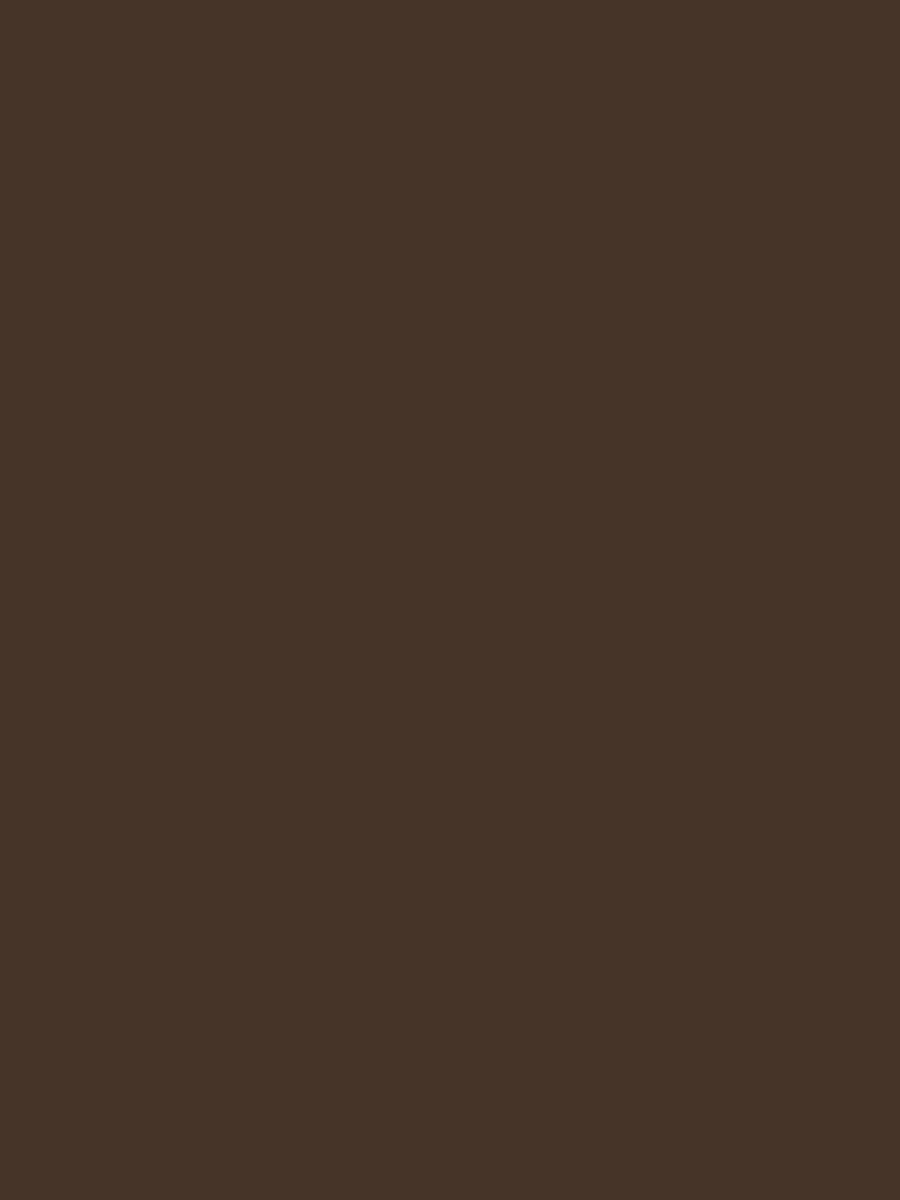 Kate Couleur unie Marron foncé de fond Photographie de portrait - Kate Backdrop FR