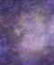 Kate Pétale Texture Violet Abstrait Toile de fond pour la photographie - Kate Backdrop FR