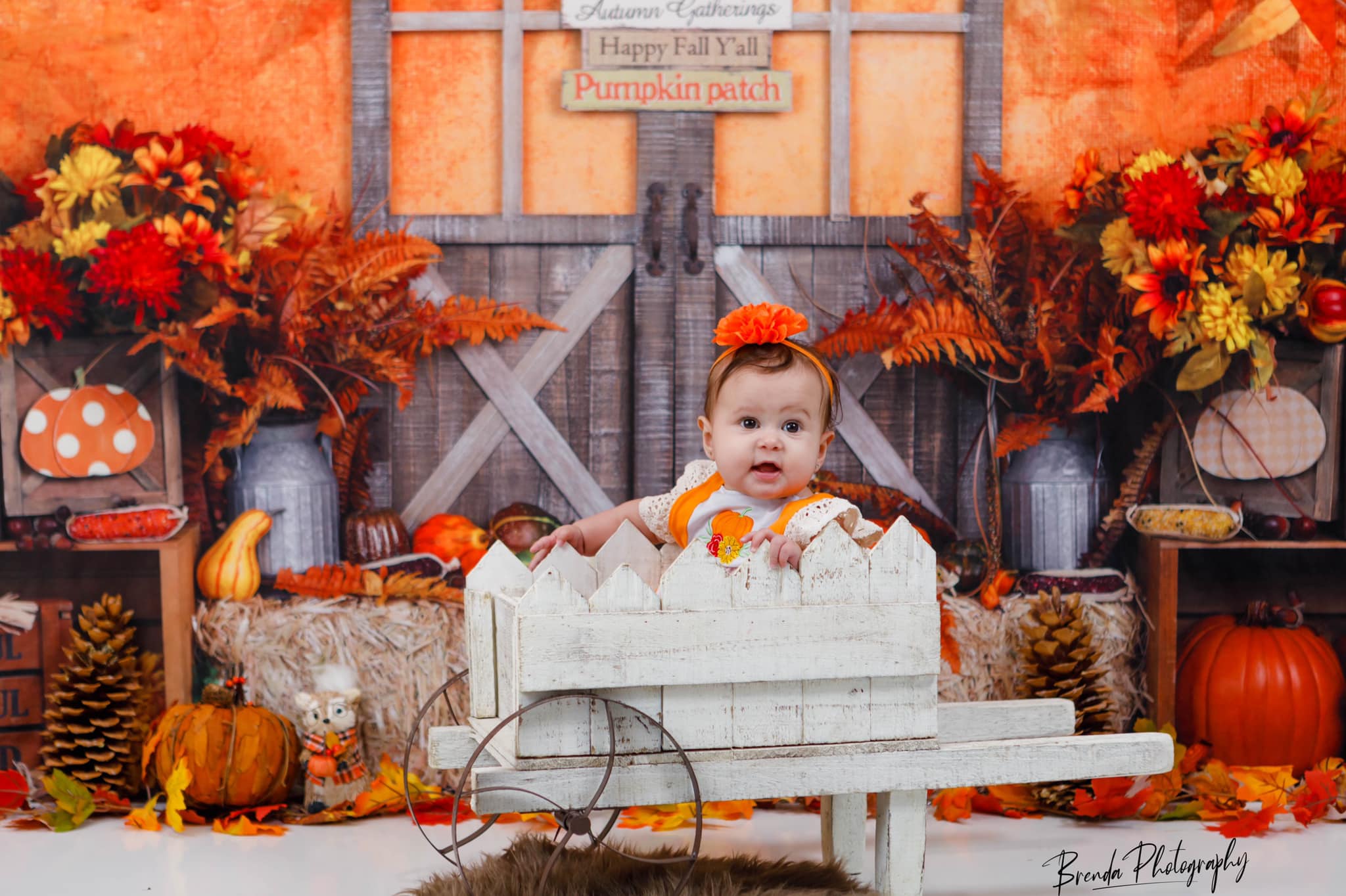 Kate Feuilles Automne Action de grâces Citrouilles Toile de fond pour la photographie - Kate Backdrop FR