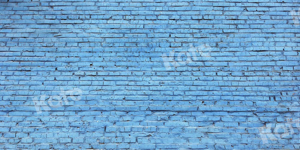 Kate toile de fond de mur de briques bleues conçue par Chain Photographie